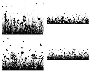 Image showing set of grass silhouettes