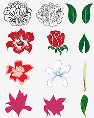 Image showing flowers set