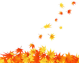 Image showing autumn leaves