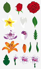 Image showing flowers set