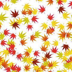 Image showing autumn leaves