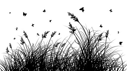 Image showing meadow silhouettes