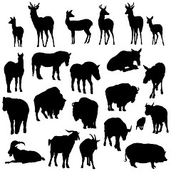 Image showing Set of deer, horses, goats, yaks, buffalos and pig   silhouettes