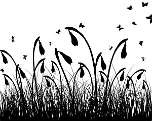 Image showing meadow silhouettes