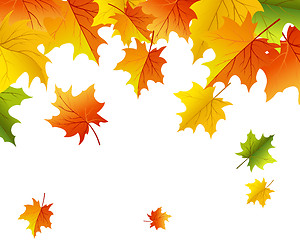 Image showing Autumn background