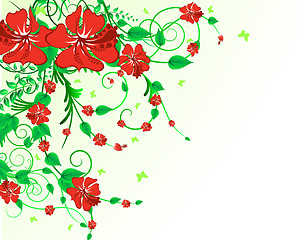 Image showing floral background