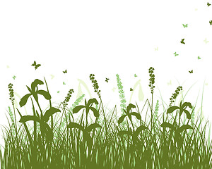 Image showing meadow silhouettes