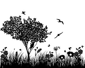 Image showing meadow silhouettes