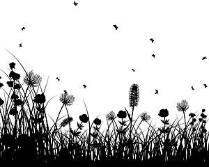 Image showing meadow silhouettes