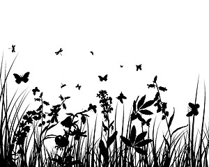 Image showing meadow silhouettes