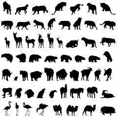 Image showing animal set