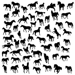 Image showing horses silhouettes