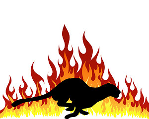 Image showing flame puma