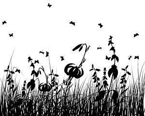 Image showing meadow silhouettes