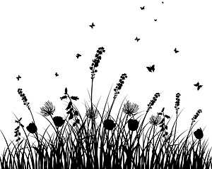 Image showing meadow silhouettes