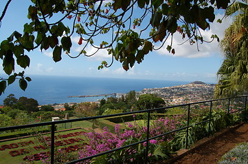 Image showing Funchal