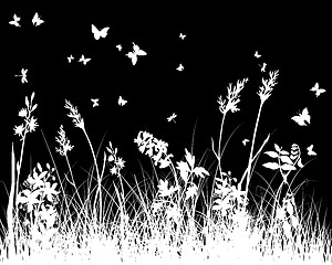 Image showing meadow silhouettes