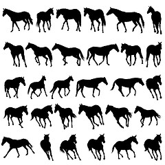 Image showing horses silhouettes