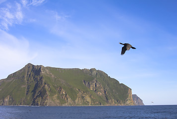 Image showing Bird against coastal rocks and the ocean 2