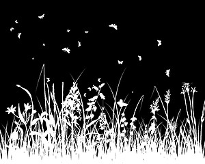 Image showing meadow silhouettes