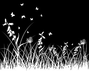 Image showing meadow silhouettes