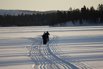 Image showing skiing