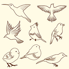 Image showing Set of differnet sketch bird