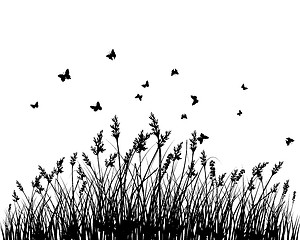 Image showing meadow silhouettes