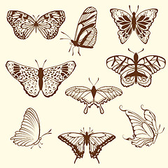 Image showing Set of differnet sketch butterfly