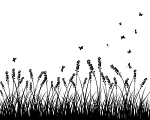 Image showing meadow silhouettes