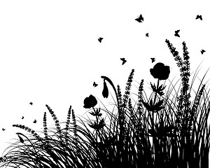 Image showing meadow silhouettes