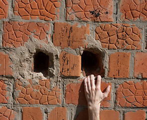 Image showing Hand on a brick wall
