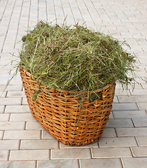 Image showing Basket with hay