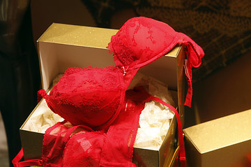 Image showing Seductive present