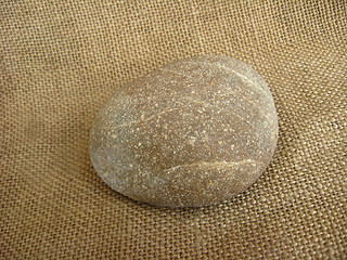 Image showing Marine stone on a brown background
