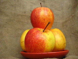 Image showing four nice apples on the plate