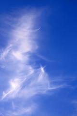 Image showing Abstract clouds