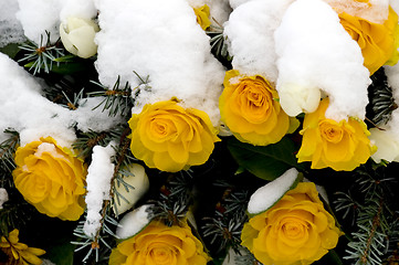 Image showing Memorial Wreath 01