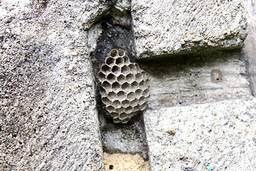Image showing honeycomb