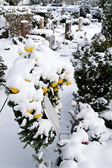 Image showing Memorial Wreath 03