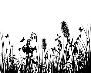 Image showing meadow silhouettes