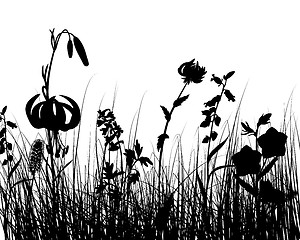 Image showing meadow silhouettes