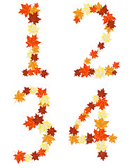 Image showing Autumn maples leaves letter