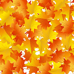 Image showing maples leaves seamless