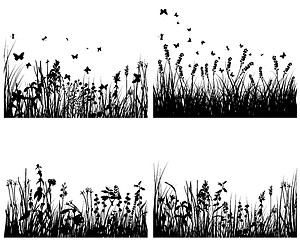 Image showing meadow silhouettes