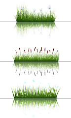 Image showing grass on water