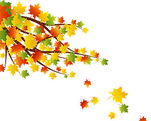 Image showing Autumn background