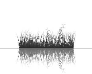 Image showing grass on water