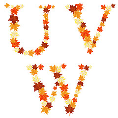 Image showing Autumn maples leaves letter
