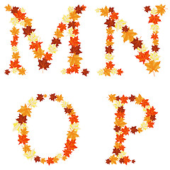 Image showing Autumn maples leaves letter